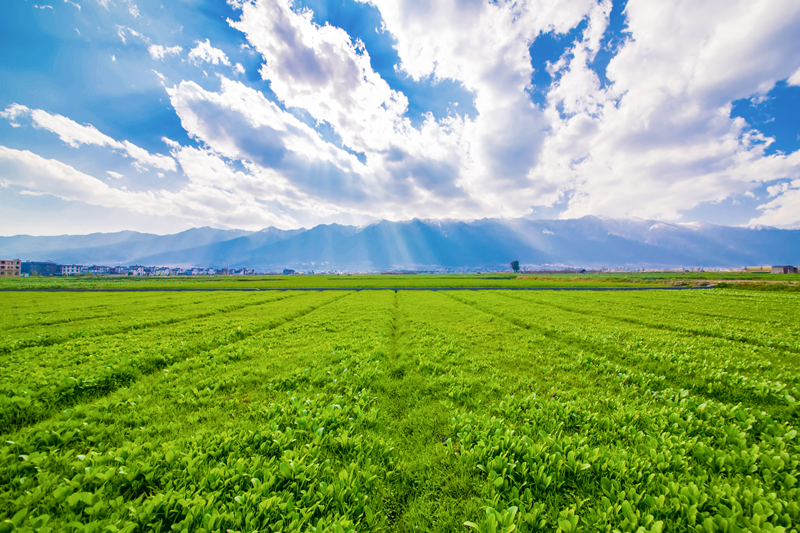 Farm land for sale in khopoli