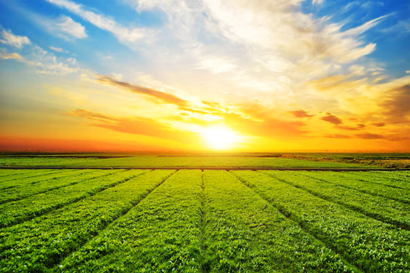 farm land for sale near me 