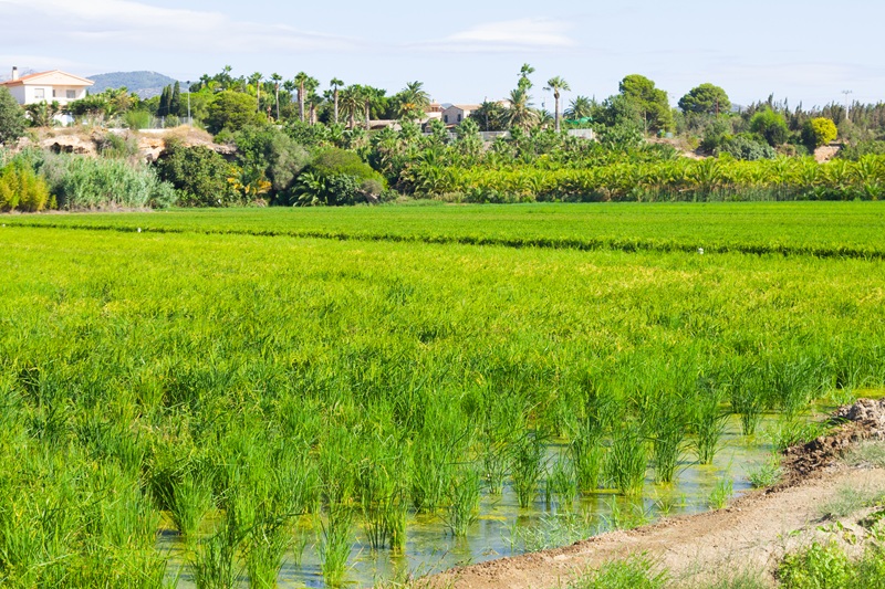 farm land for sale near Khopoli with well and fencing