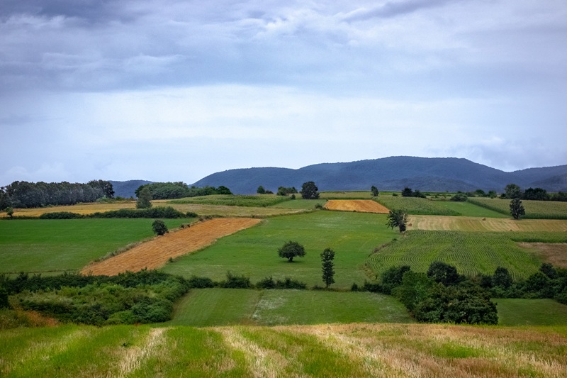 Agriculture Land for sale in Khopoli