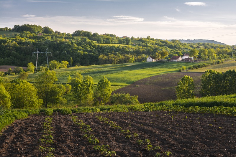 farm land for sale