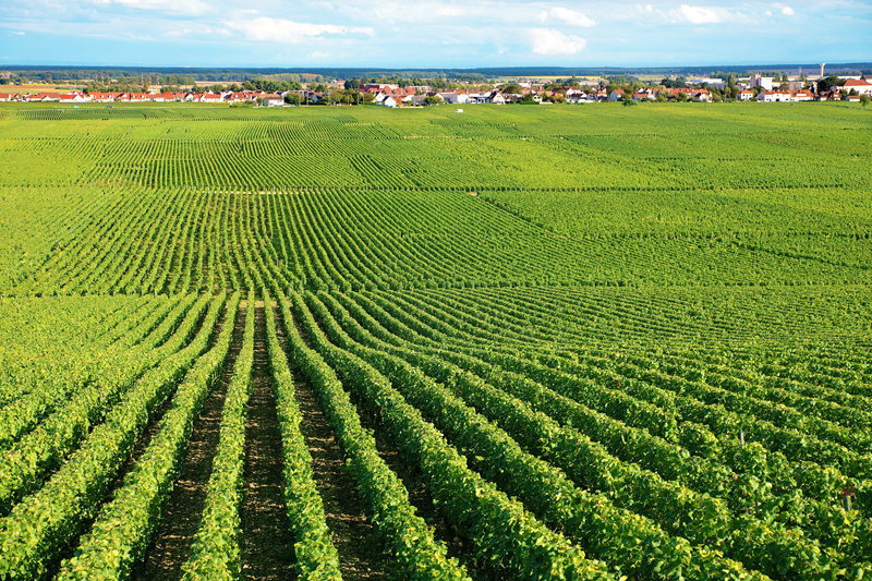 farm land for sale near me 