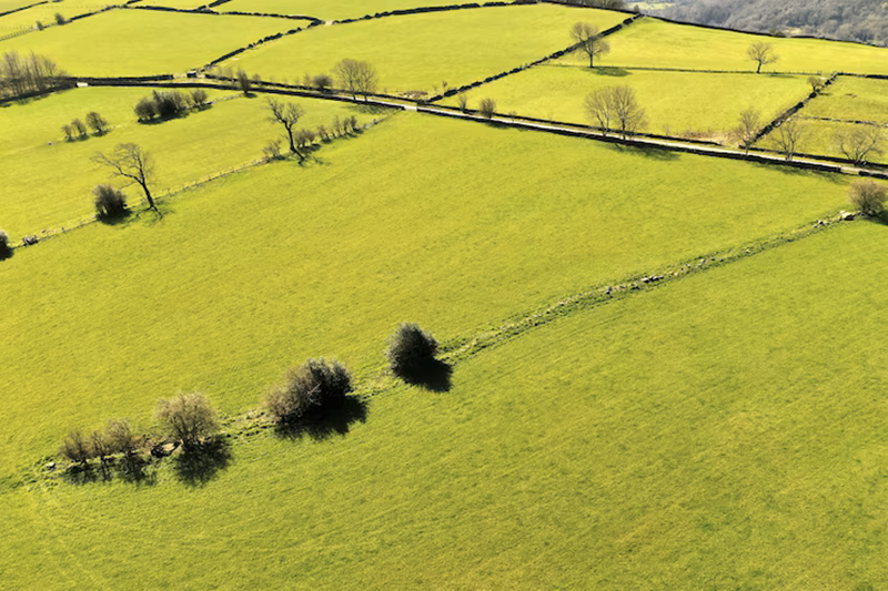Agriculture land for sale near me