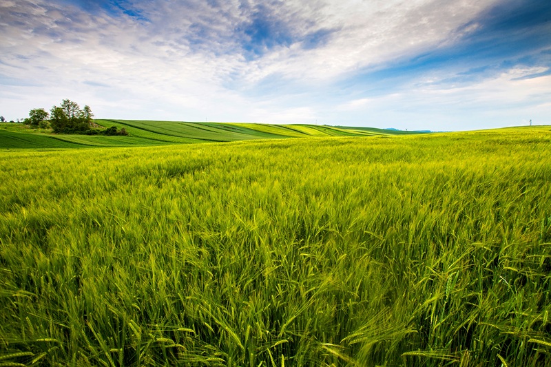farm land for sale in Khopoli