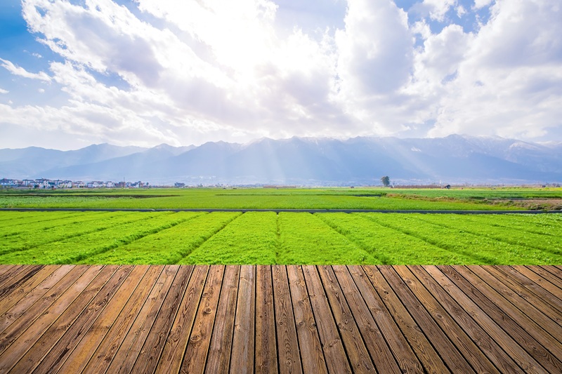 Agriculture land for sale near me